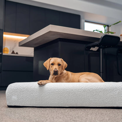 Premium Orthopedic Memory Foam Dog Bed - Grey Bouclé
