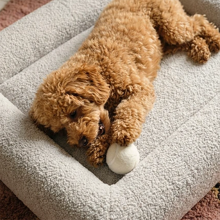 Premium Orthopedic Memory Foam Dog Bed - Grey Bouclé (Small)