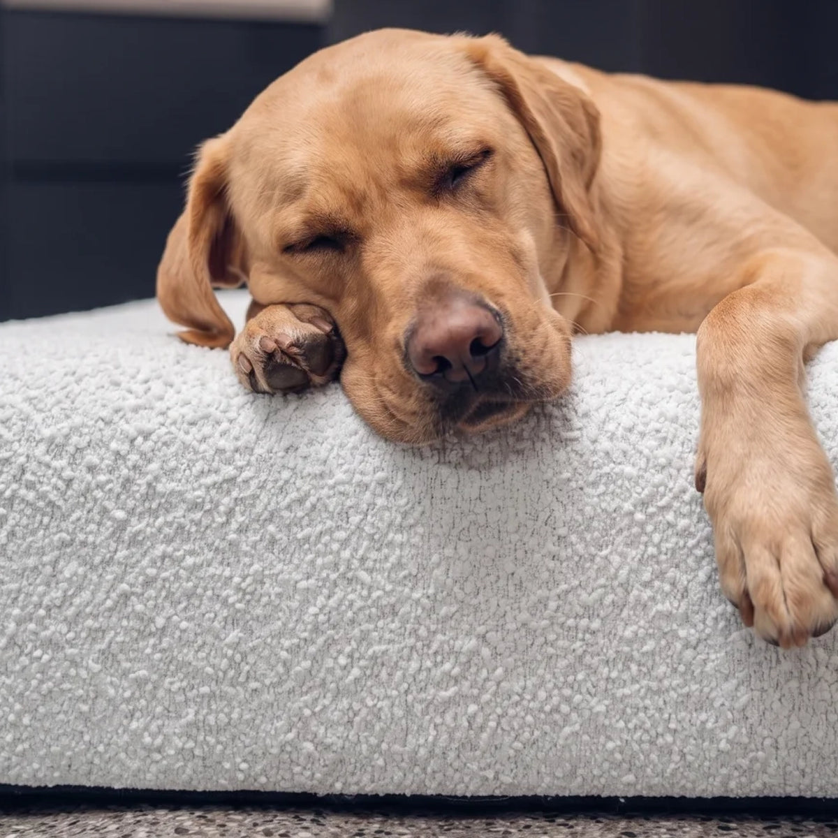 Premium Orthopedic Memory Foam Dog Bed - Grey Bouclé