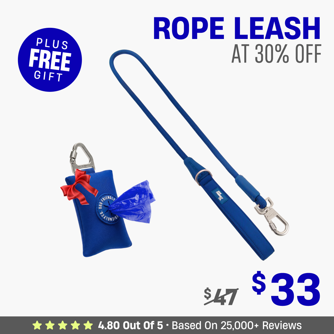Get Leash at 30% OFF + FREE Poop Bag Holder