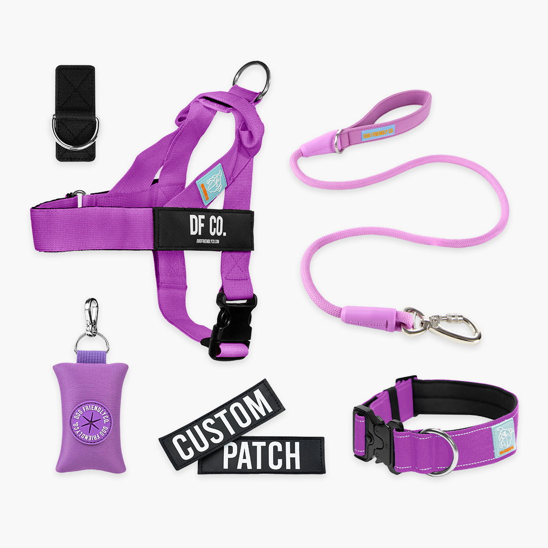 <h2>Spaziergangsbedarf</h2>