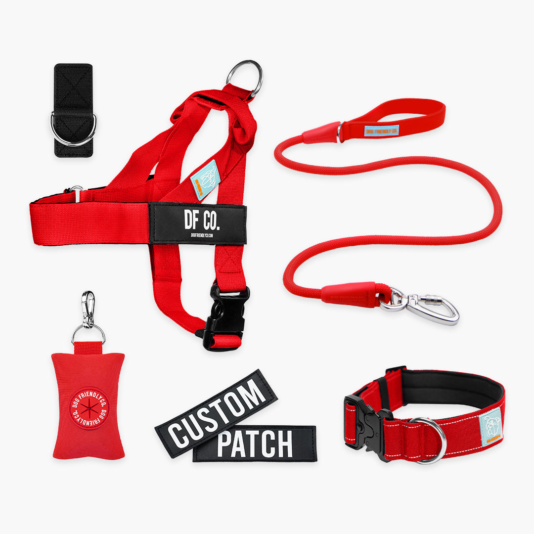 <h2>Spaziergangsbedarf</h2>