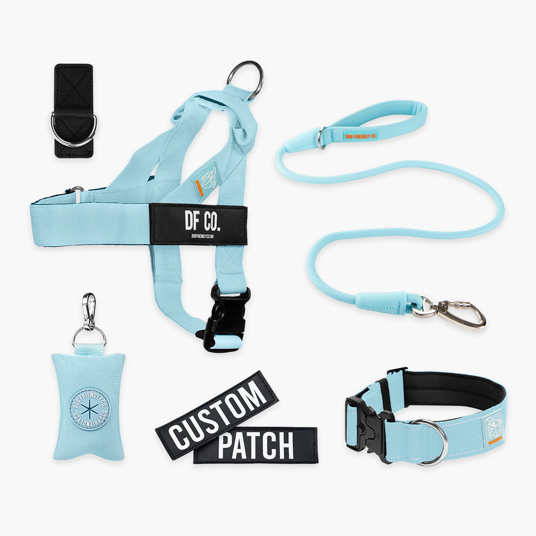 <h2>Spaziergangsbedarf</h2>