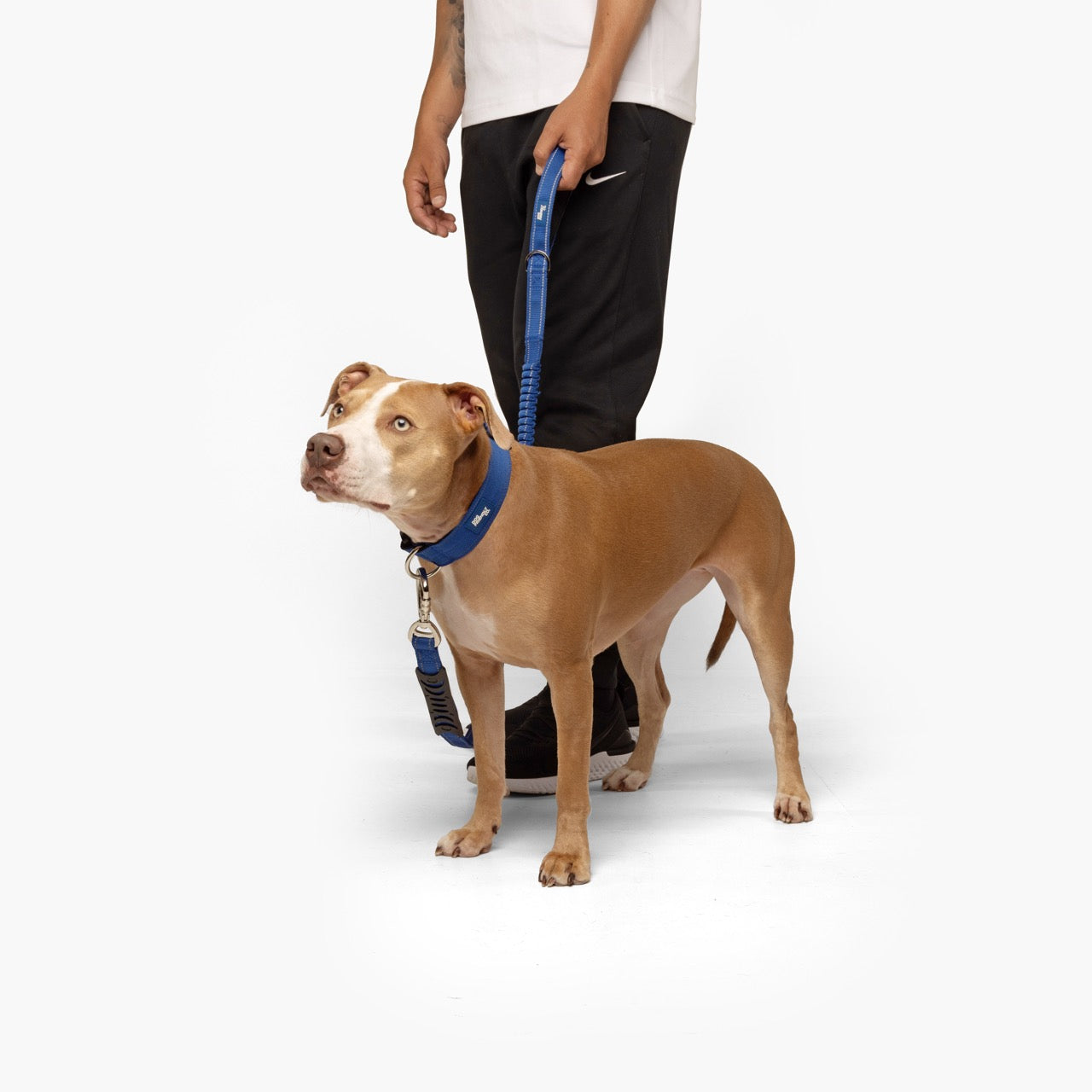 Taktisches Hundehalsband - Klassisches Blau