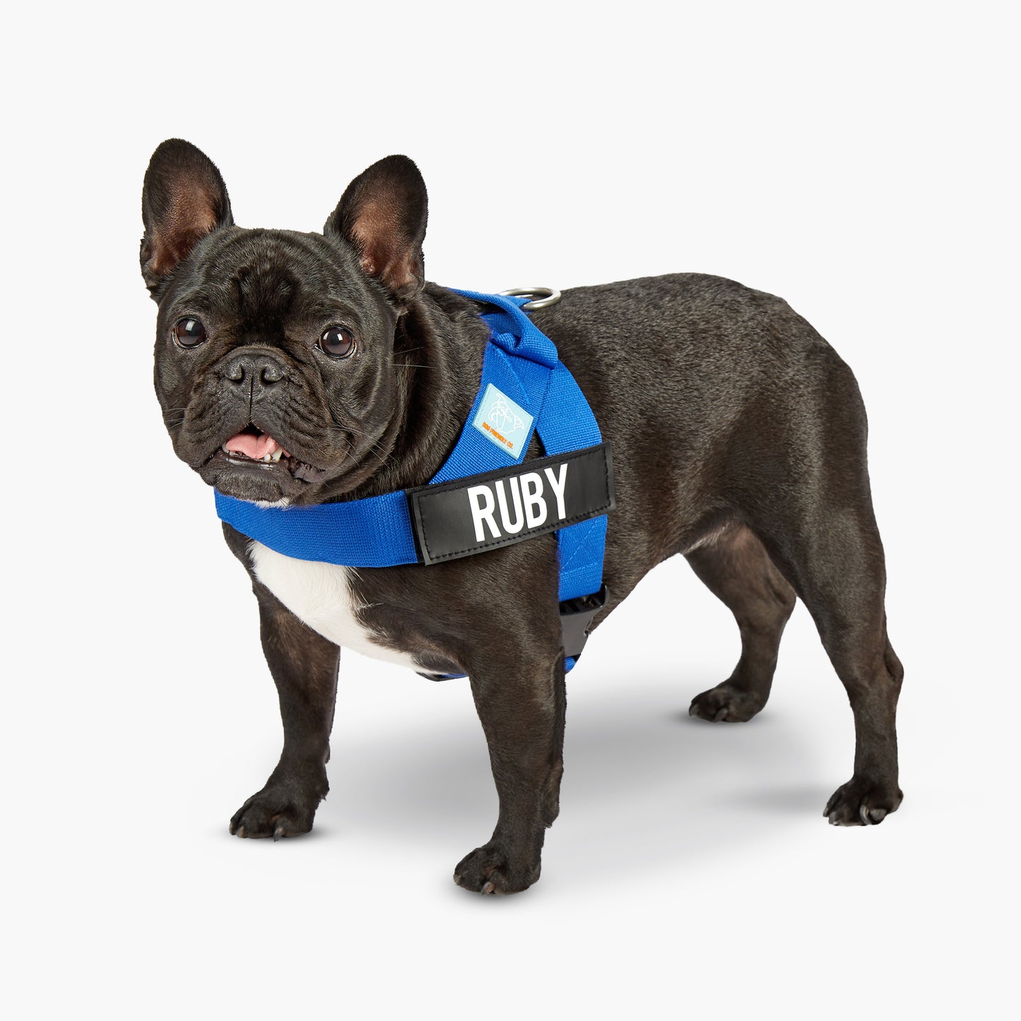 <h2>Spaziergangsbedarf</h2>