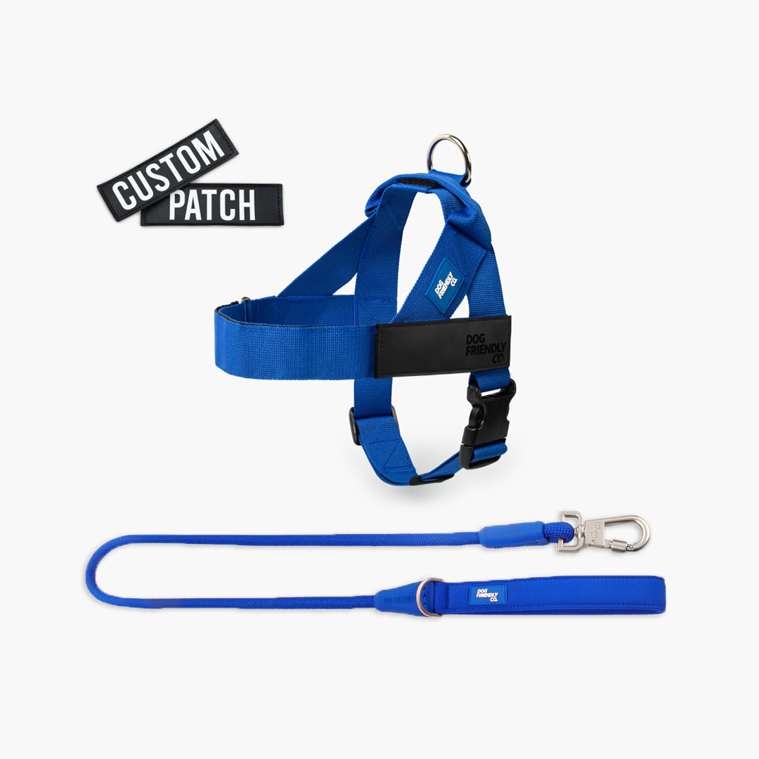 Signature Kit - Klassisches Blau