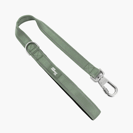 Kurze Trainingshundeleine - Khaki