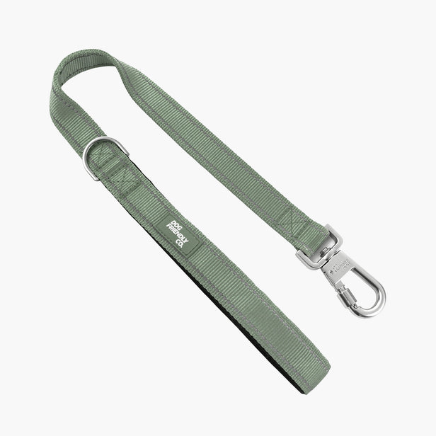 Kurze Trainingshundeleine - Khaki