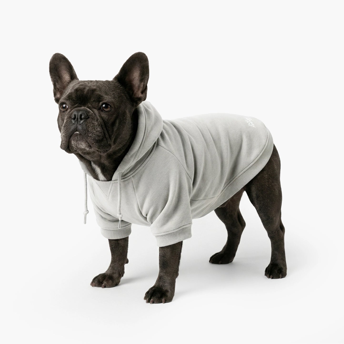 Winter Dog Hoodies - Grau