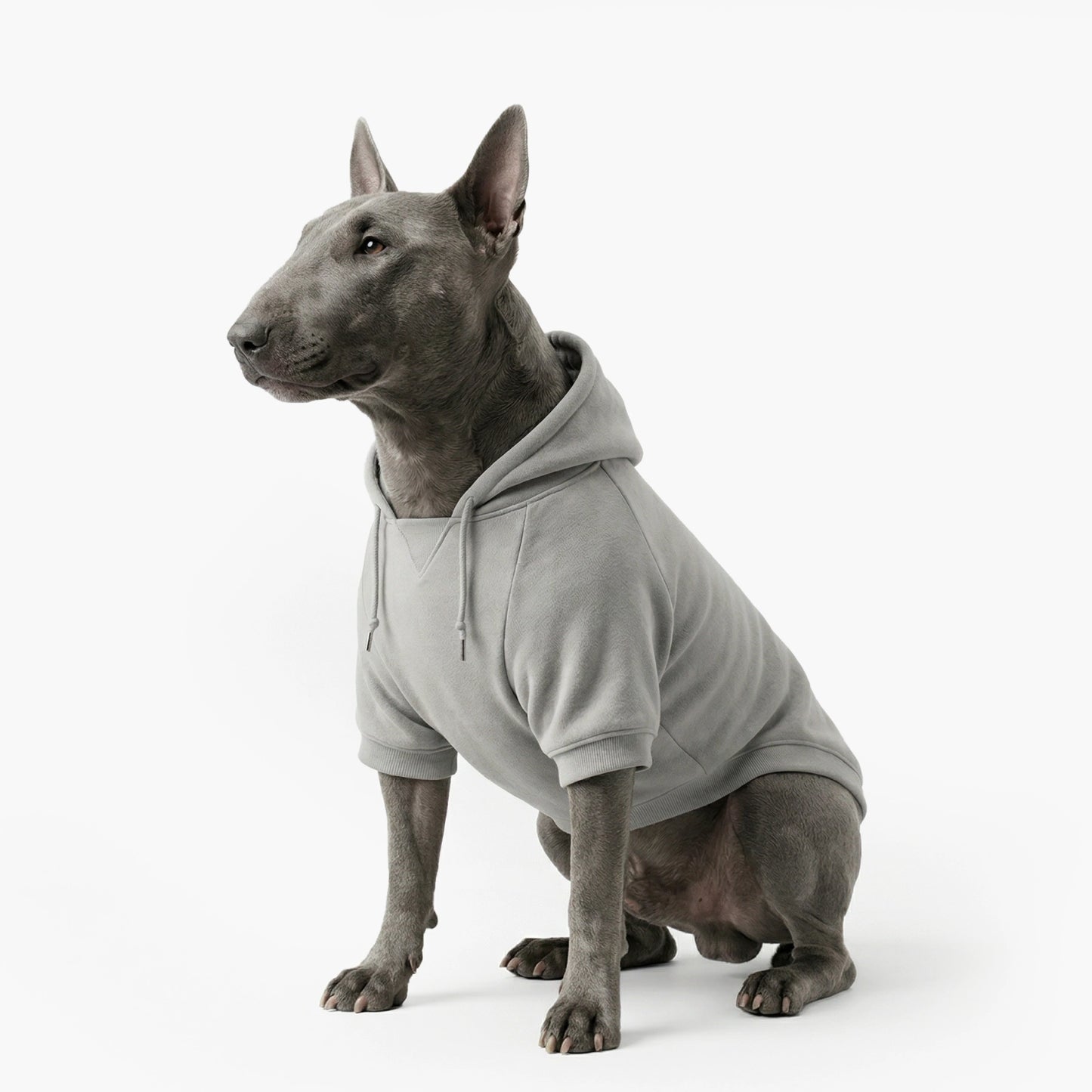 Winter Dog Hoodies - Grau