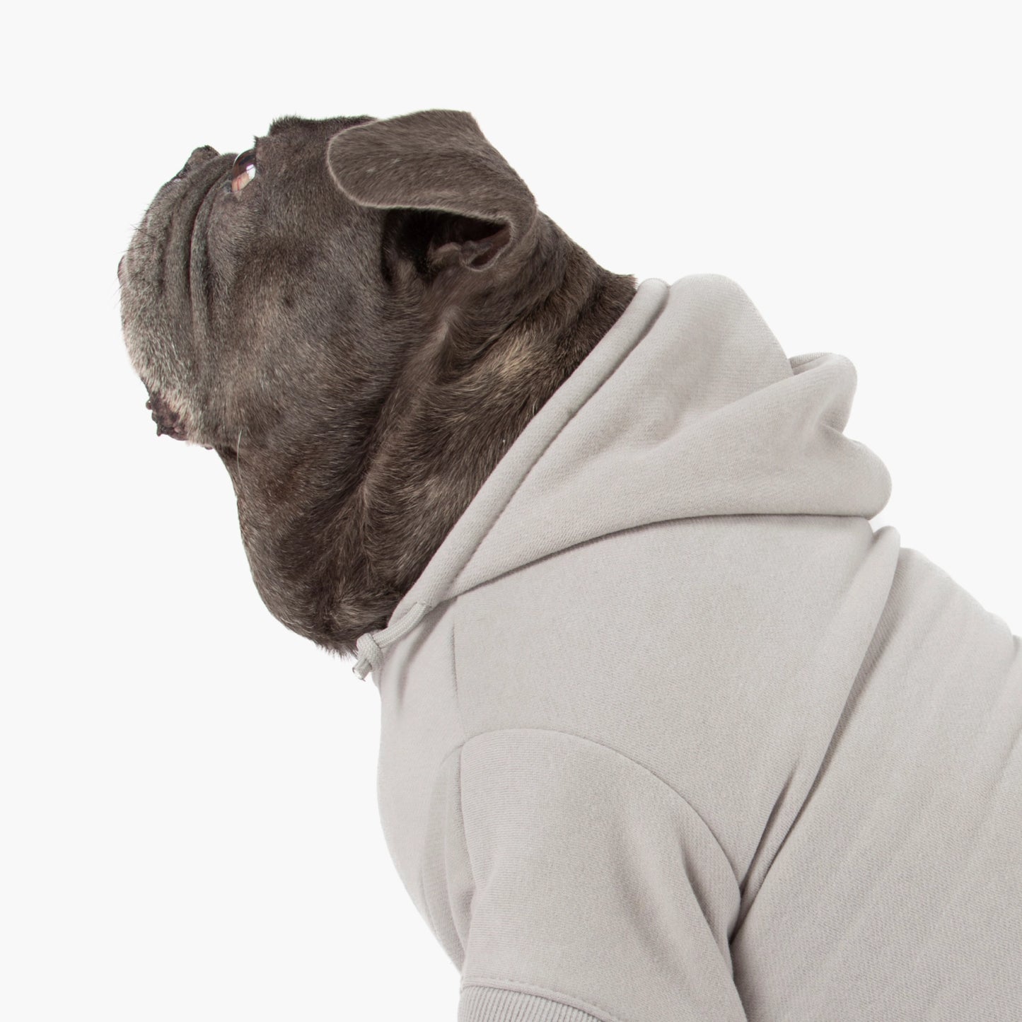 Winter Dog Hoodies - Grau