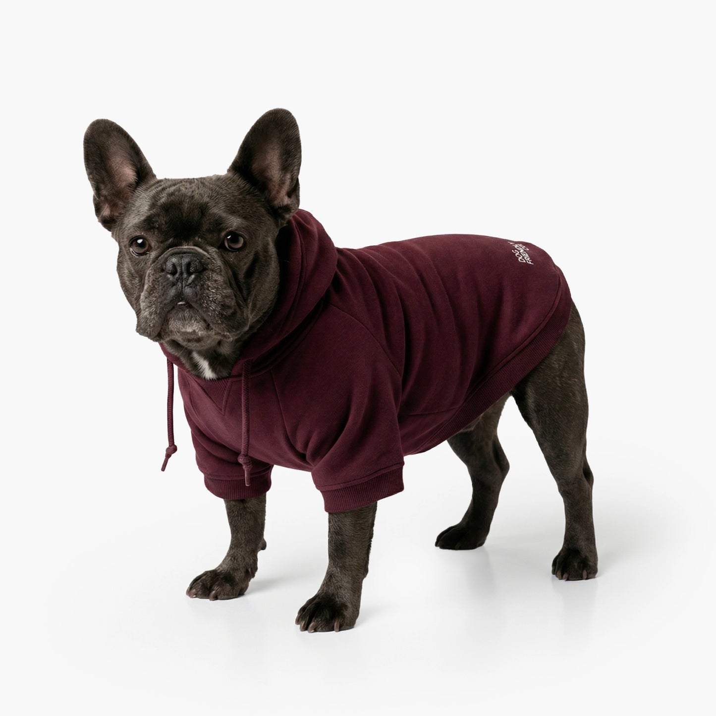 Winter Dog Hoodies - Bordeaux