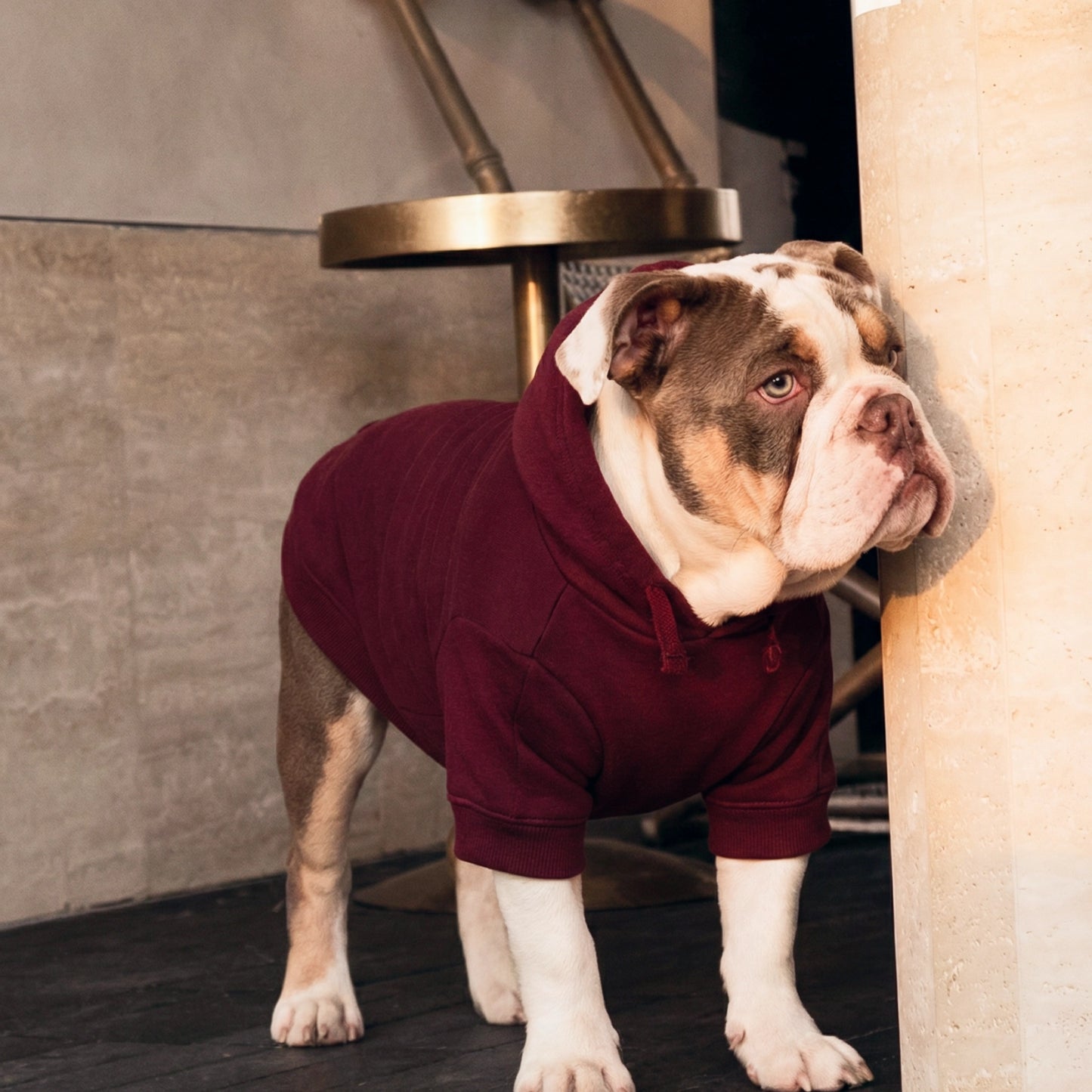 Winter Dog Hoodies - Bordeaux