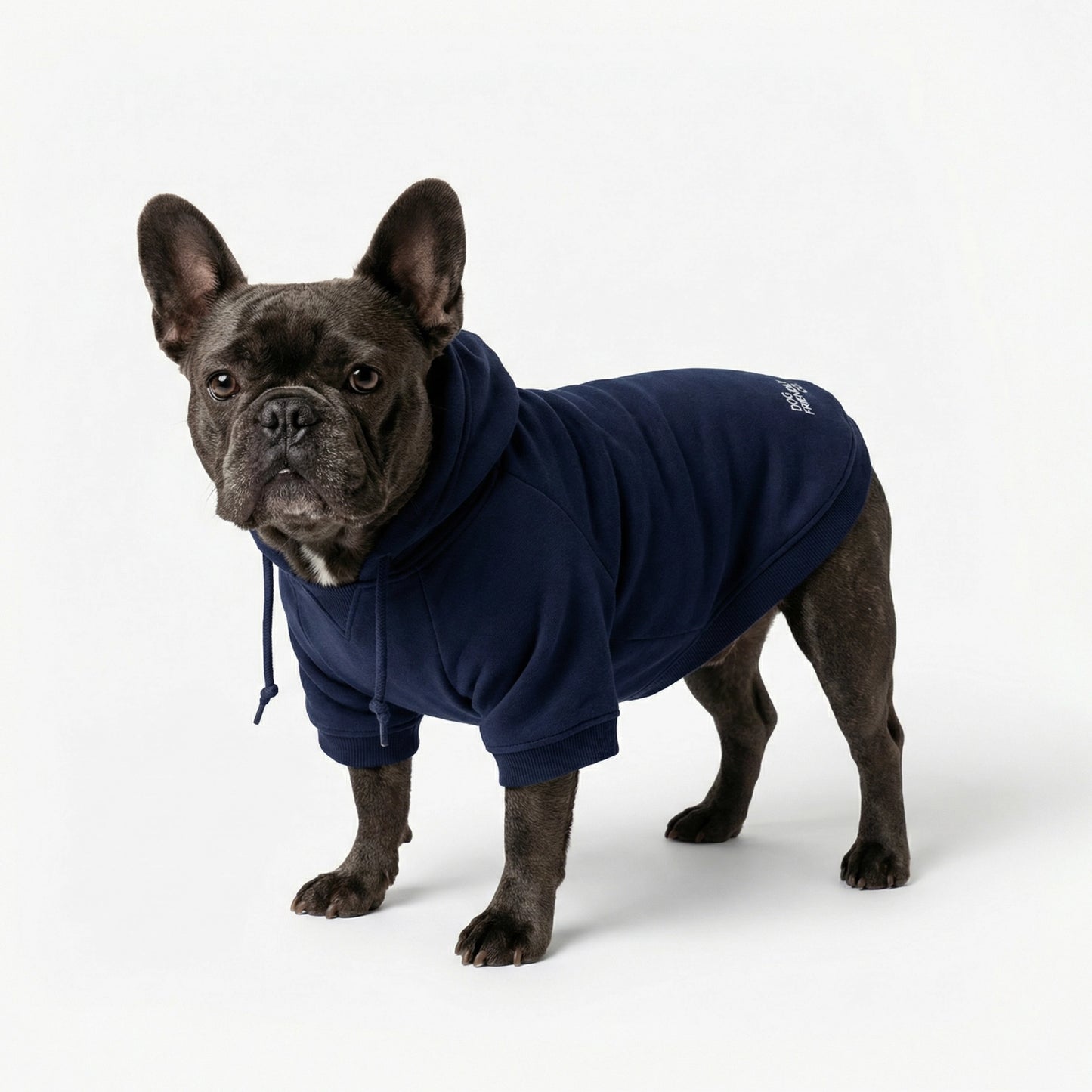 Winter Dog Hoodies - Marineblau