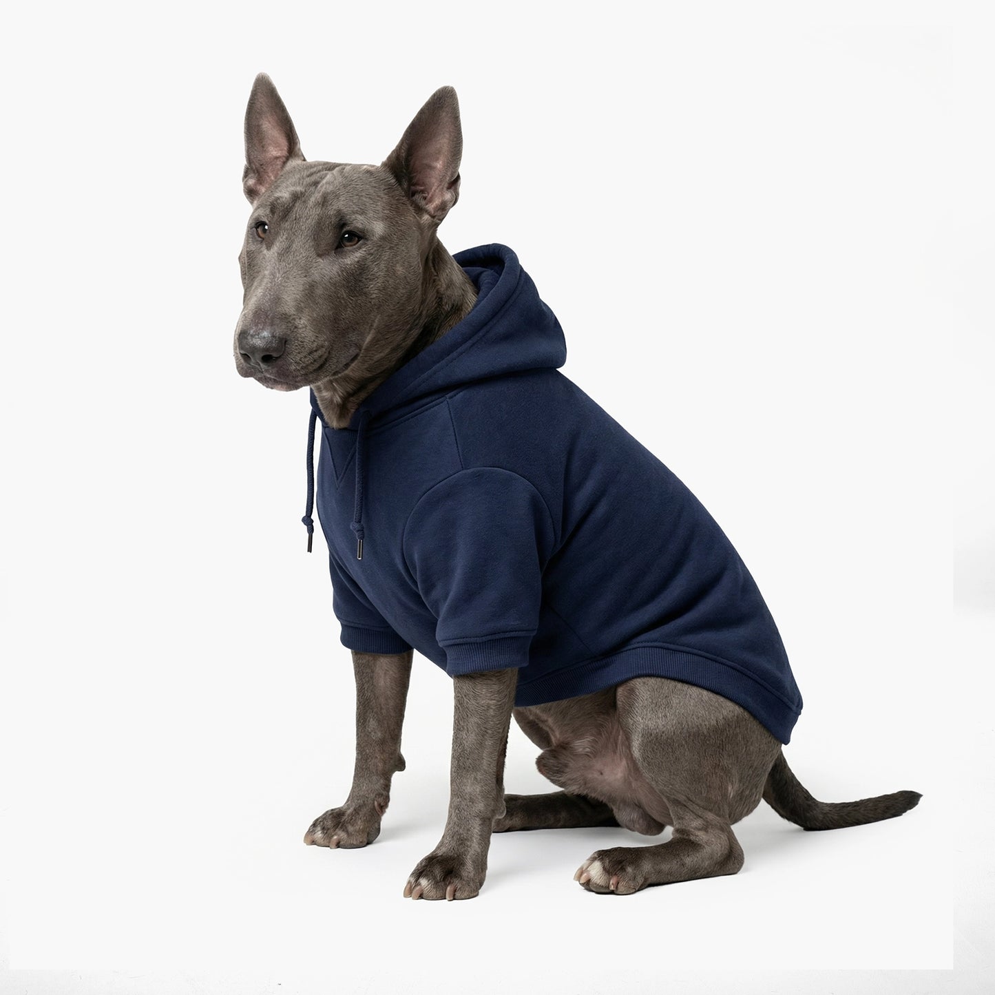 Winter Dog Hoodies - Marineblau