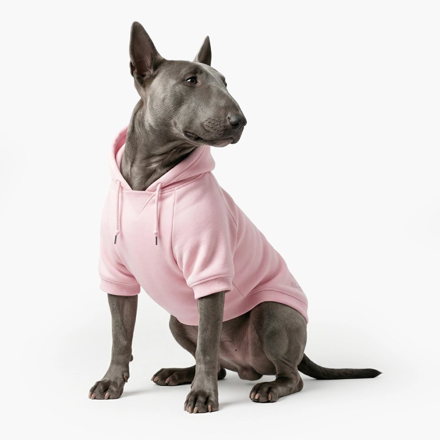 Signature Dog Hoodie - Pink