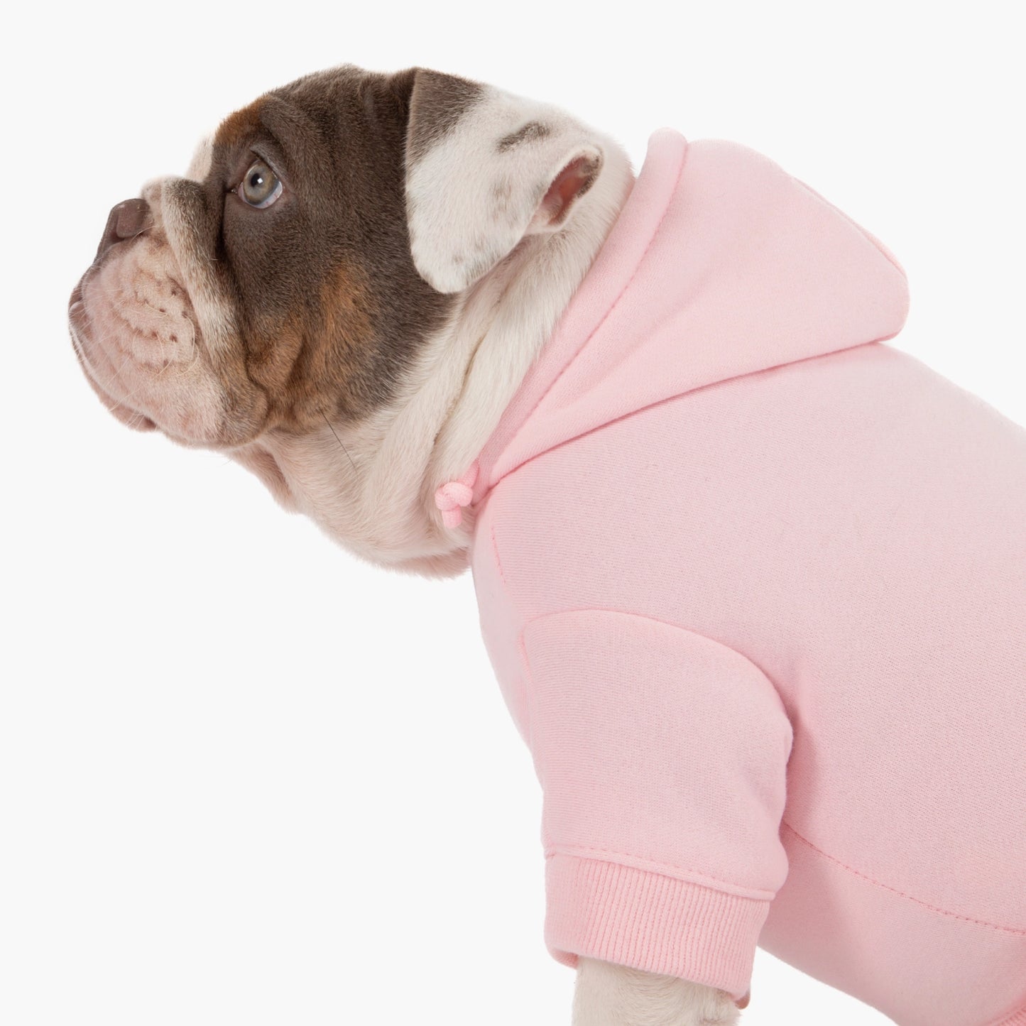 Signature Dog Hoodie - Pink