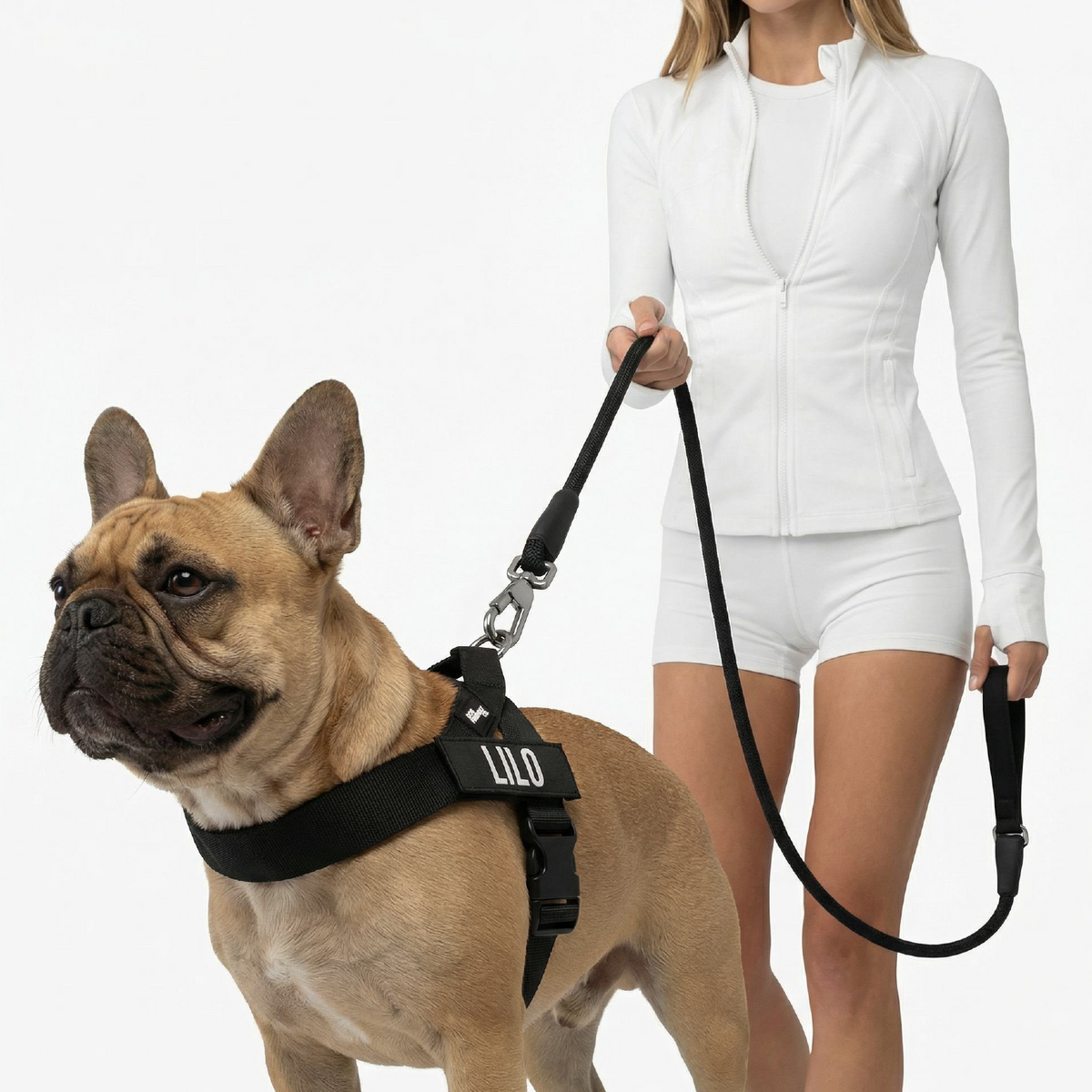 Dog wearing black signature kit bundle