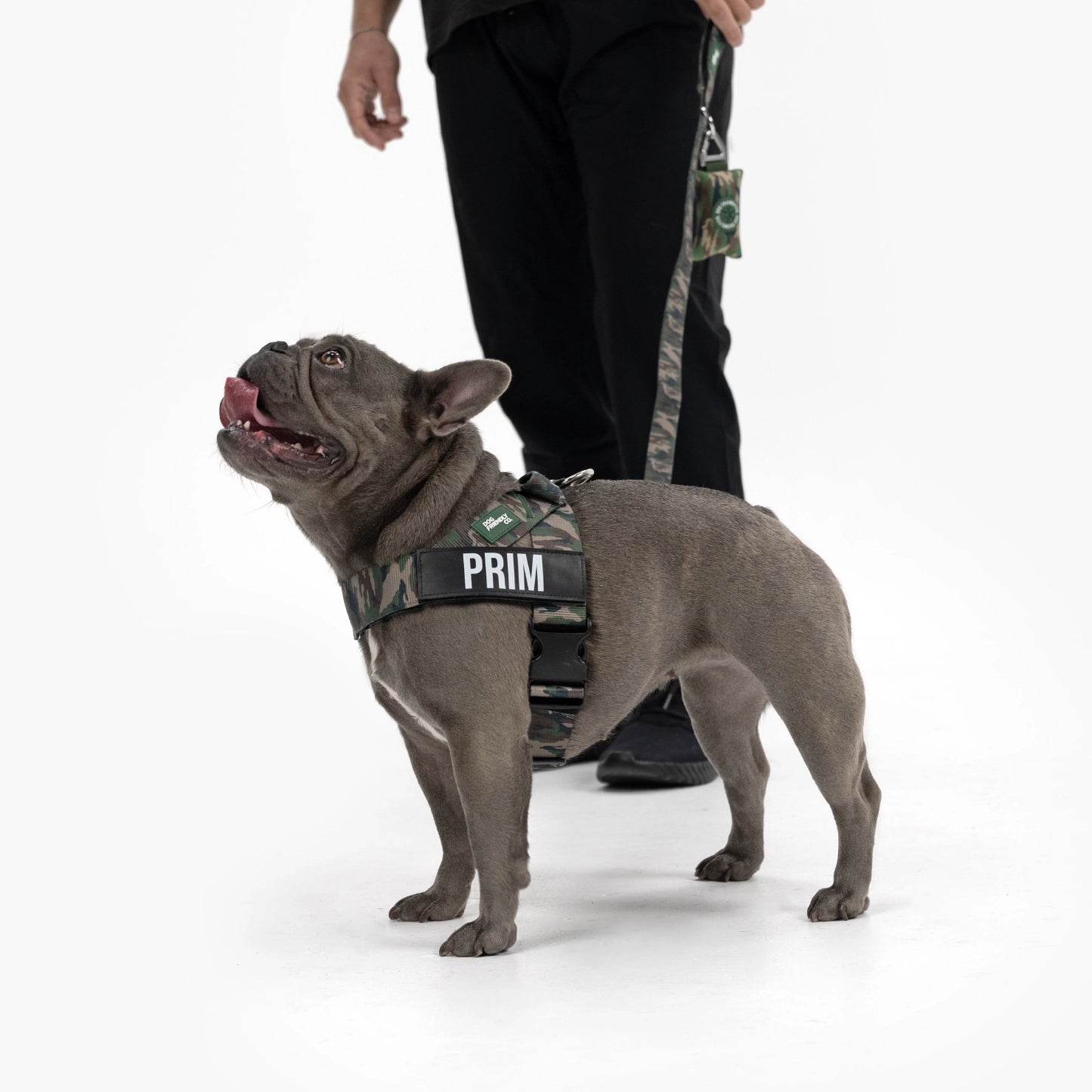 Signature-Kit - Grünes Tarnmuster