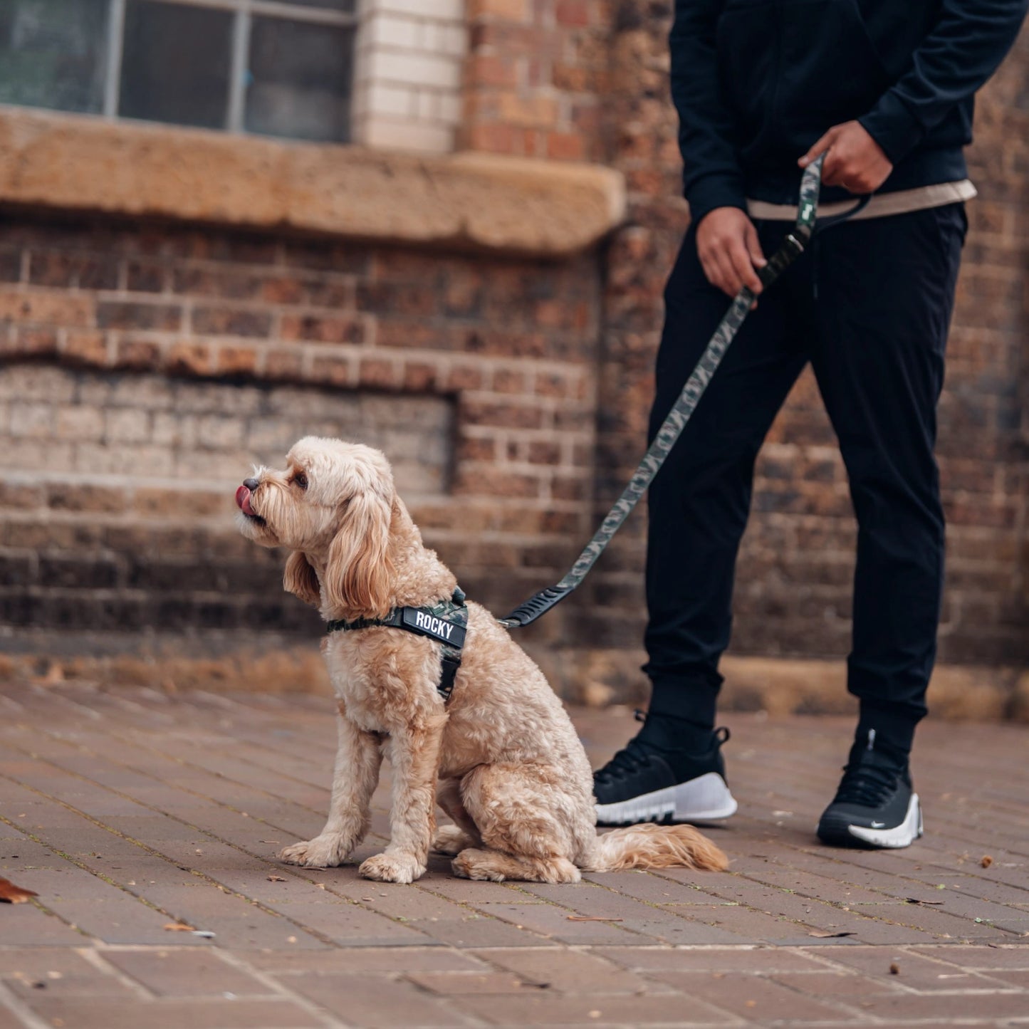 Signature-Kit - Grünes Tarnmuster