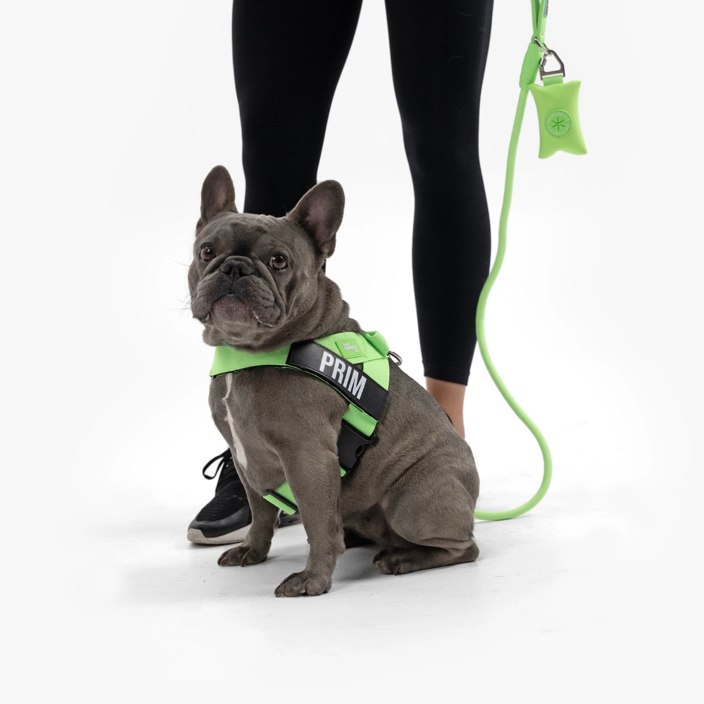 Signature-Kit - Neon Grün