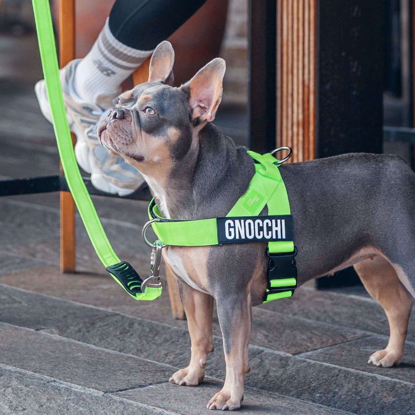 Signature-Kit - Neon Grün