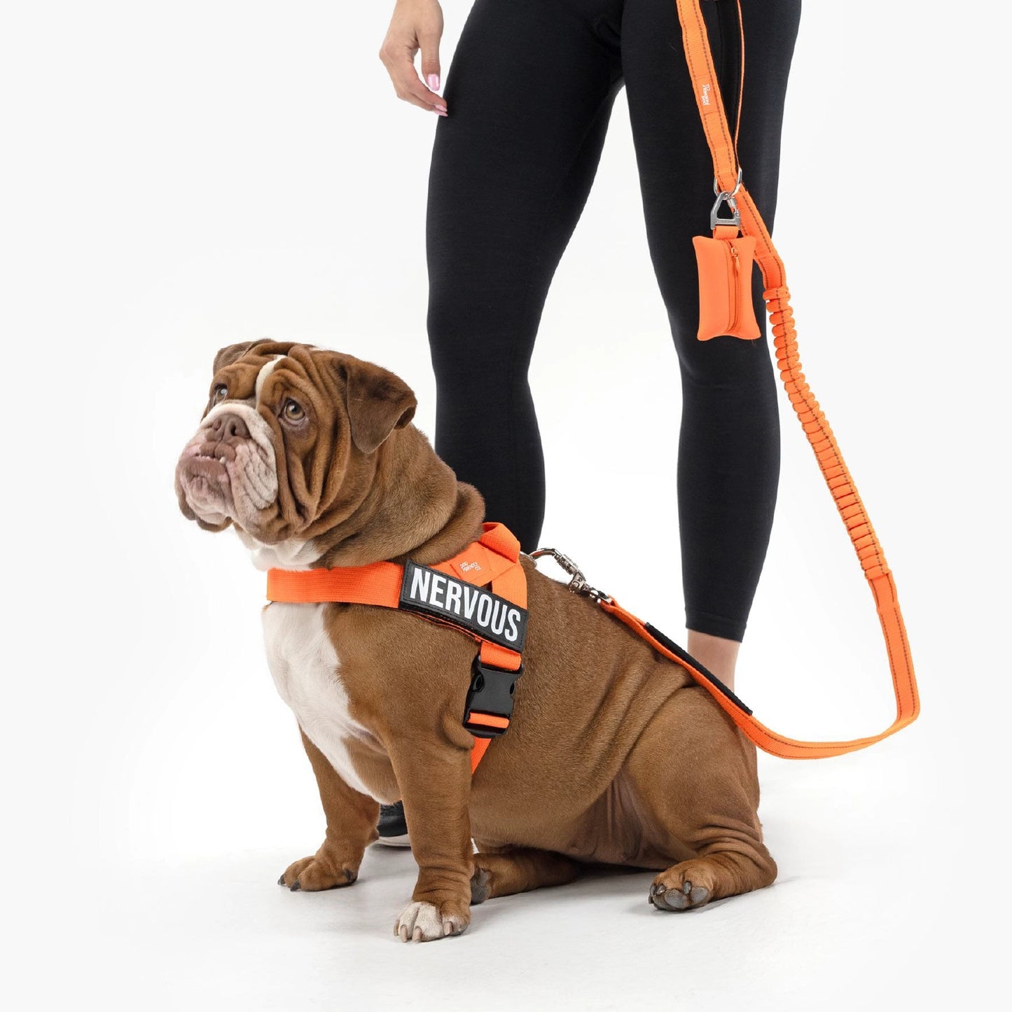 Signature-Kit - Orange