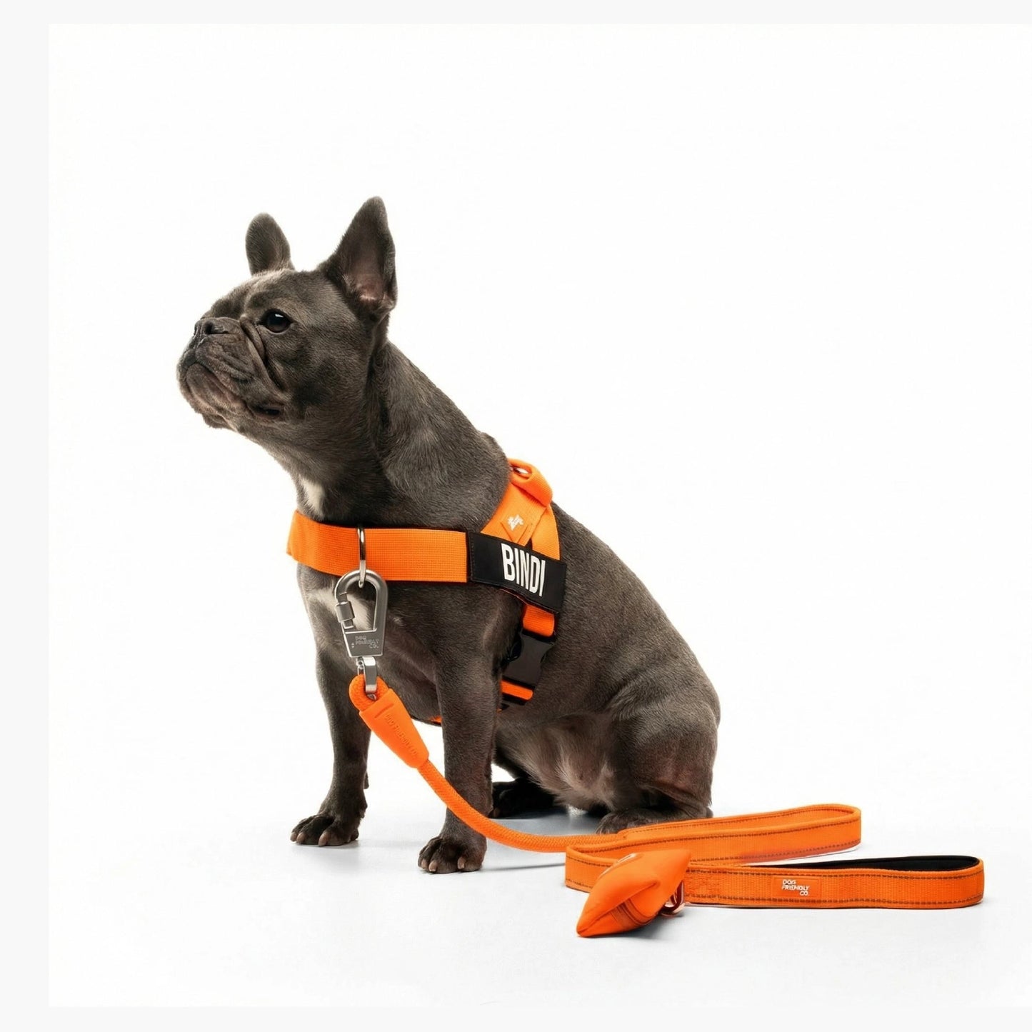 Signature-Kit - Orange