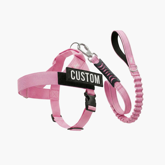 Signature-Kit - Rosa