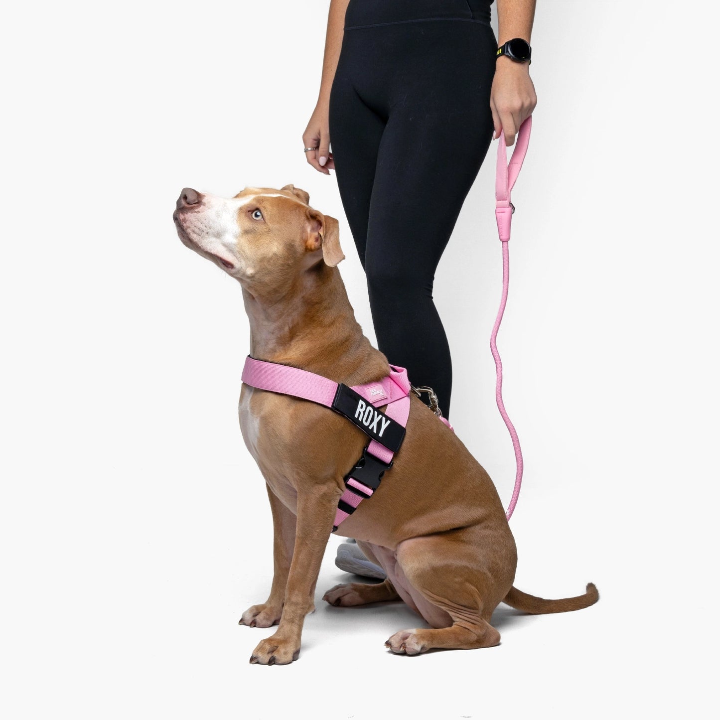 Signature-Kit - Rosa