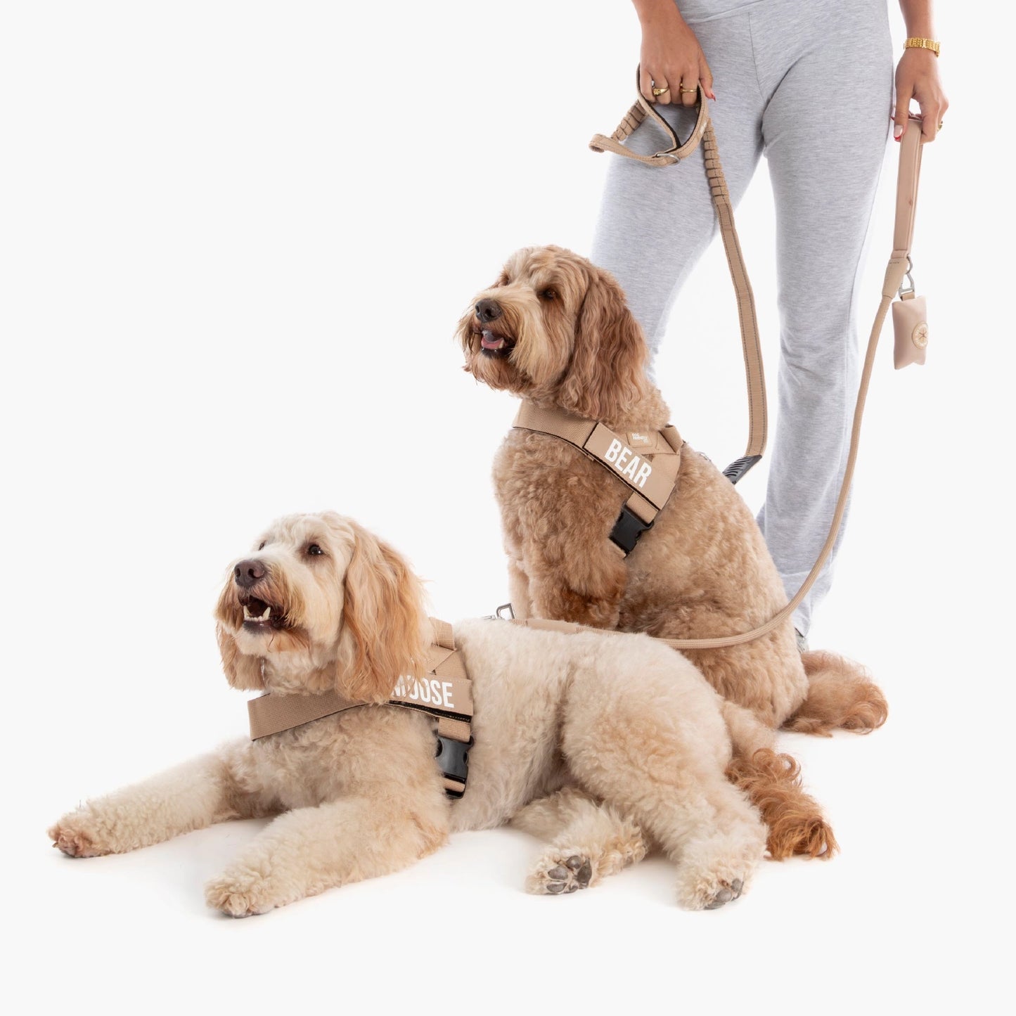 Signature-Kit - Braun