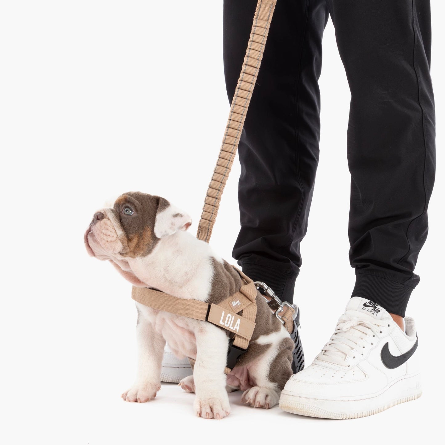 Signature-Kit - Braun