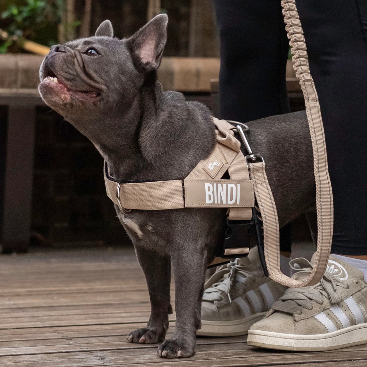 Signature-Kit - Braun