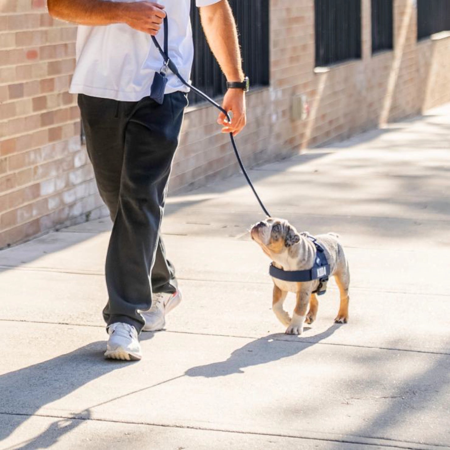 Signature-Kit - Marineblau