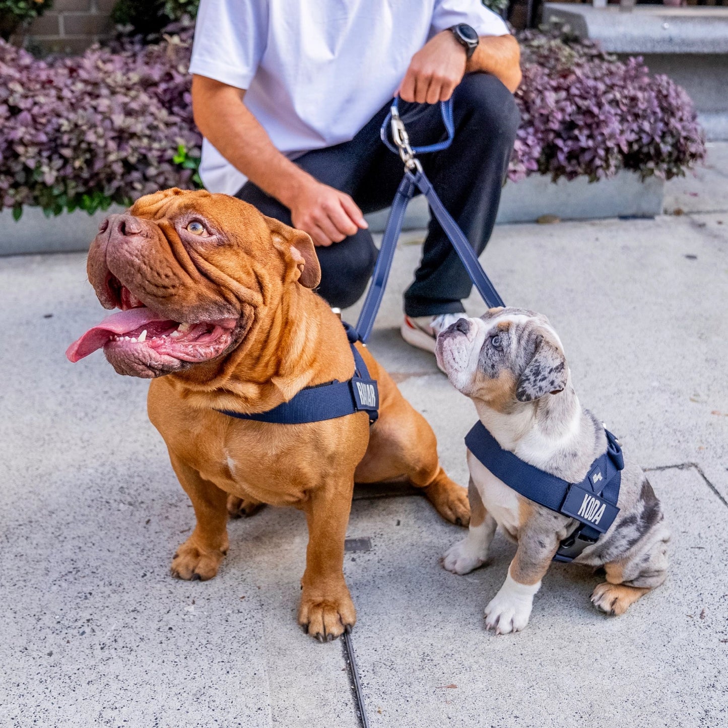 Signature-Kit - Marineblau