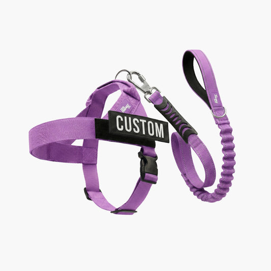 Signature-Kit - Violett