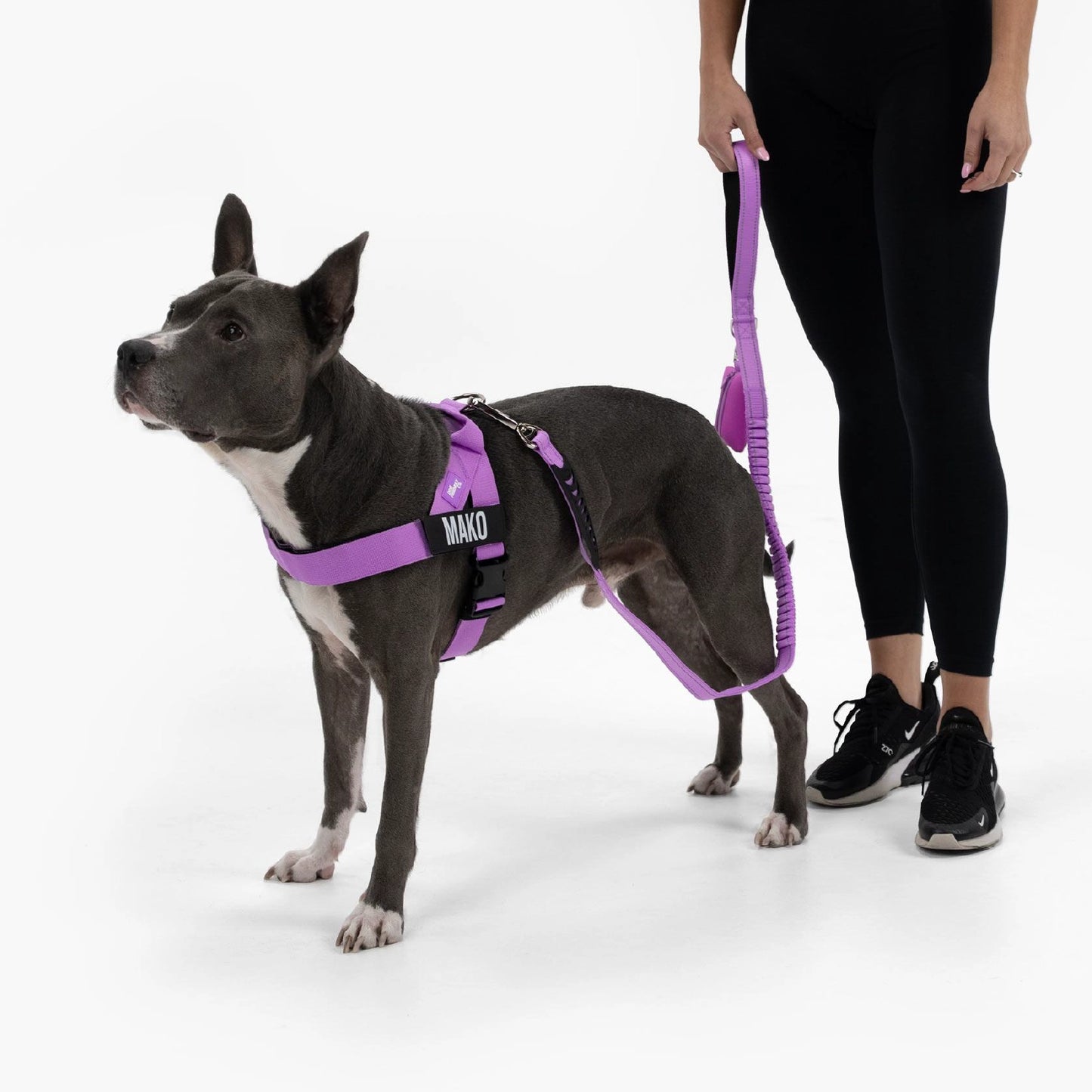 Signature-Kit - Violett