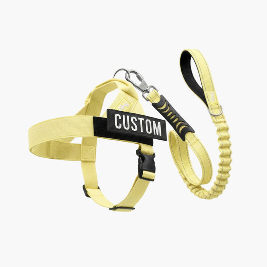 Signature-Kit - Gelb