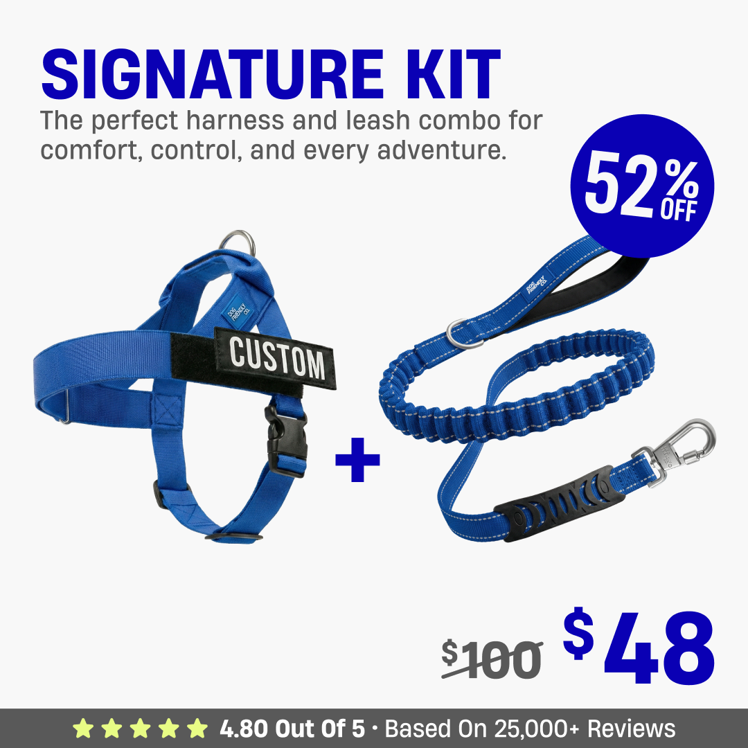 Signature Kit - 52% OFF