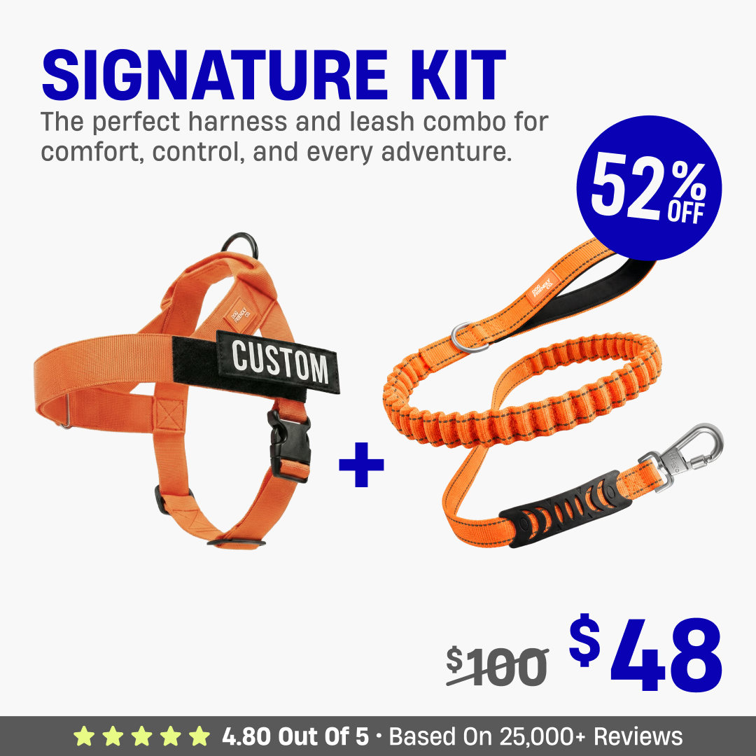 Signature Kit - 52% OFF