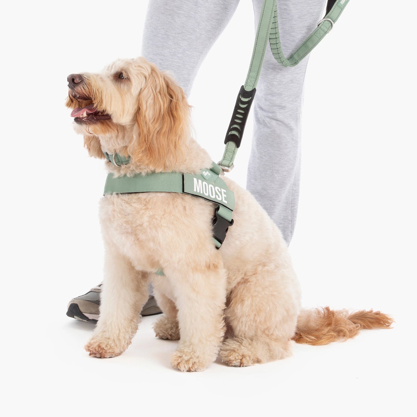 Ultimatives Anti-Zug Bundle - Khaki
