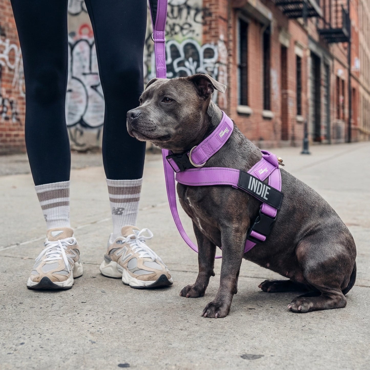 Ultimatives Anti-Zug Bundle - Violett