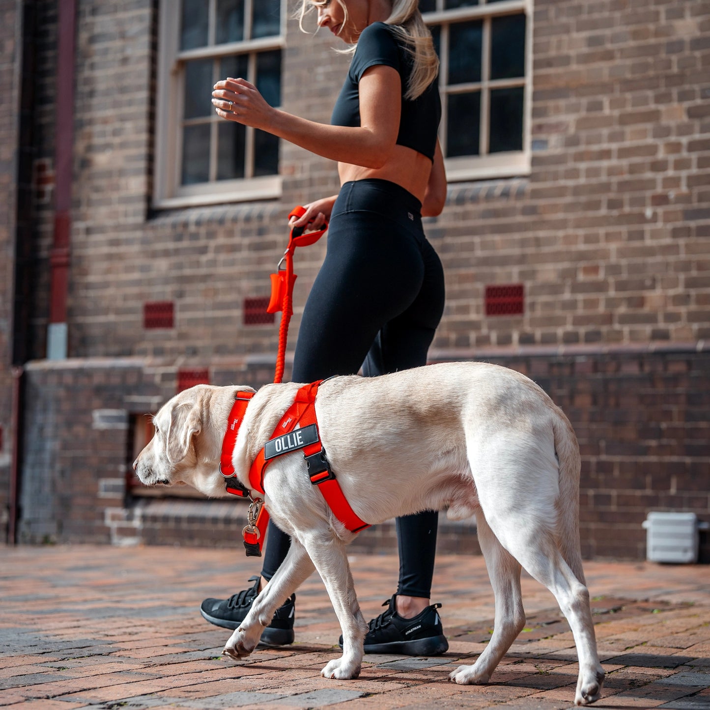 Ultimatives Anti-Zug Bundle - Rot