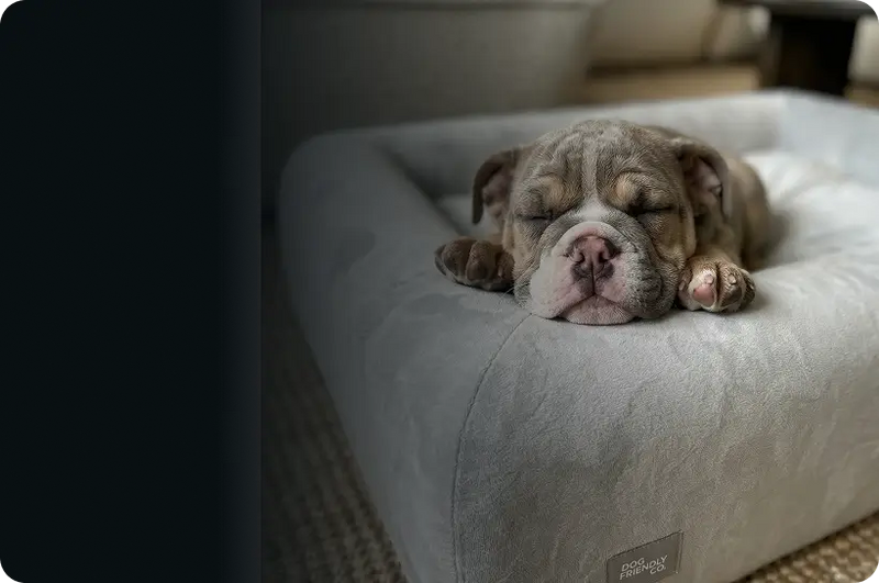 A Bed They'll Actually Use