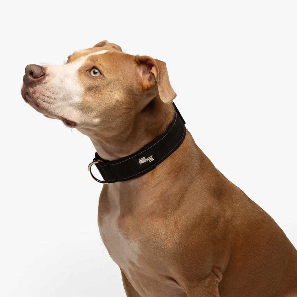 Taktisches Hundehalsband - Schwarz