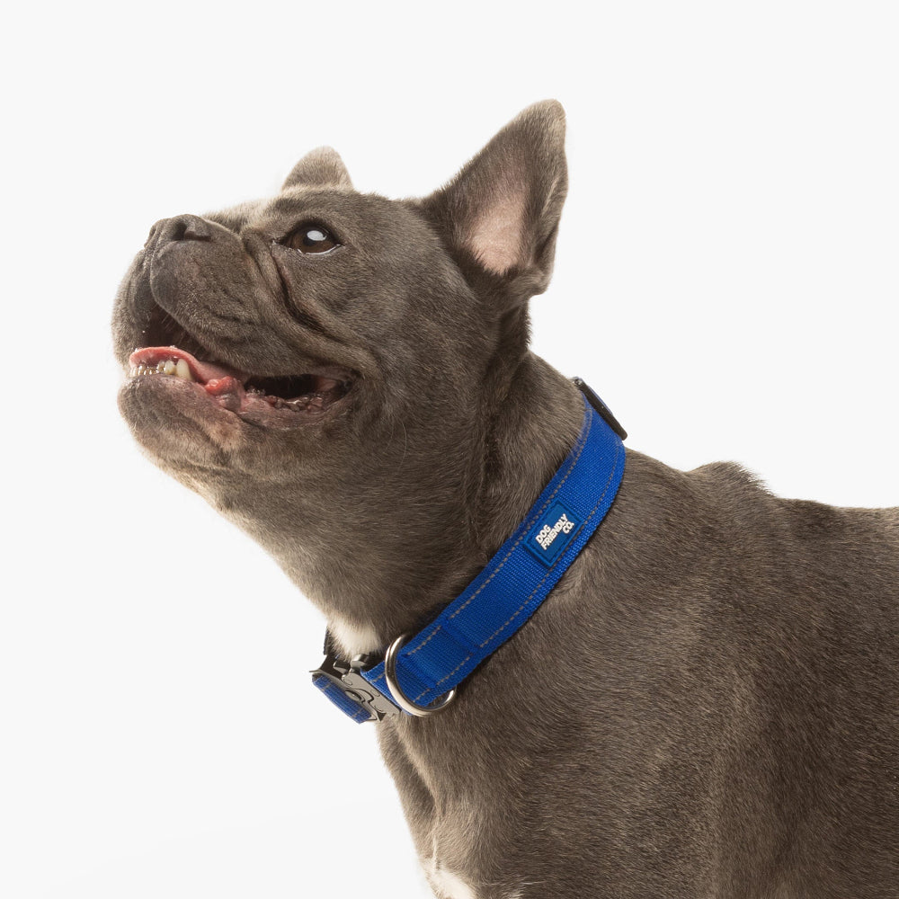 Taktisches Hundehalsband - Klassisches Blau