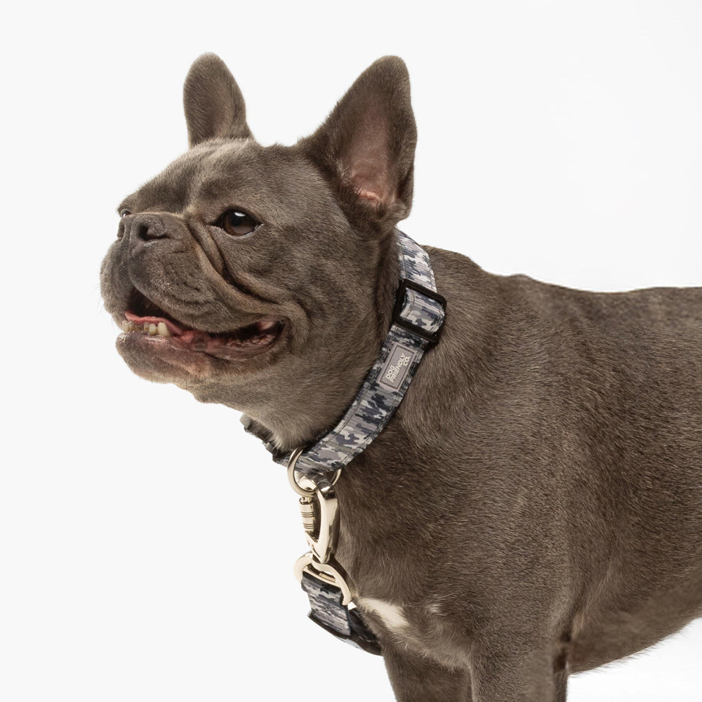 Taktisches Hundehalsband - Grauer Tarnmuster
