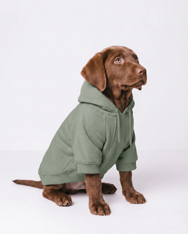 Dog Hoodie – Khaki – on a dog