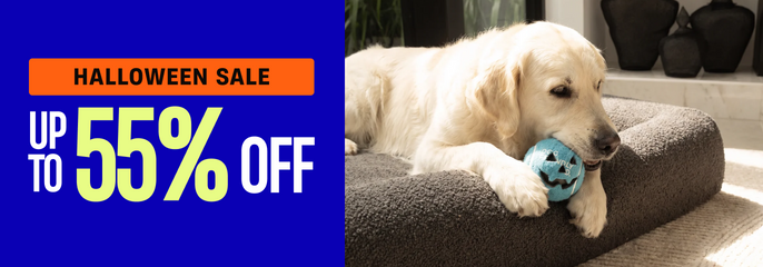 Halloween Sale: up to 55% off