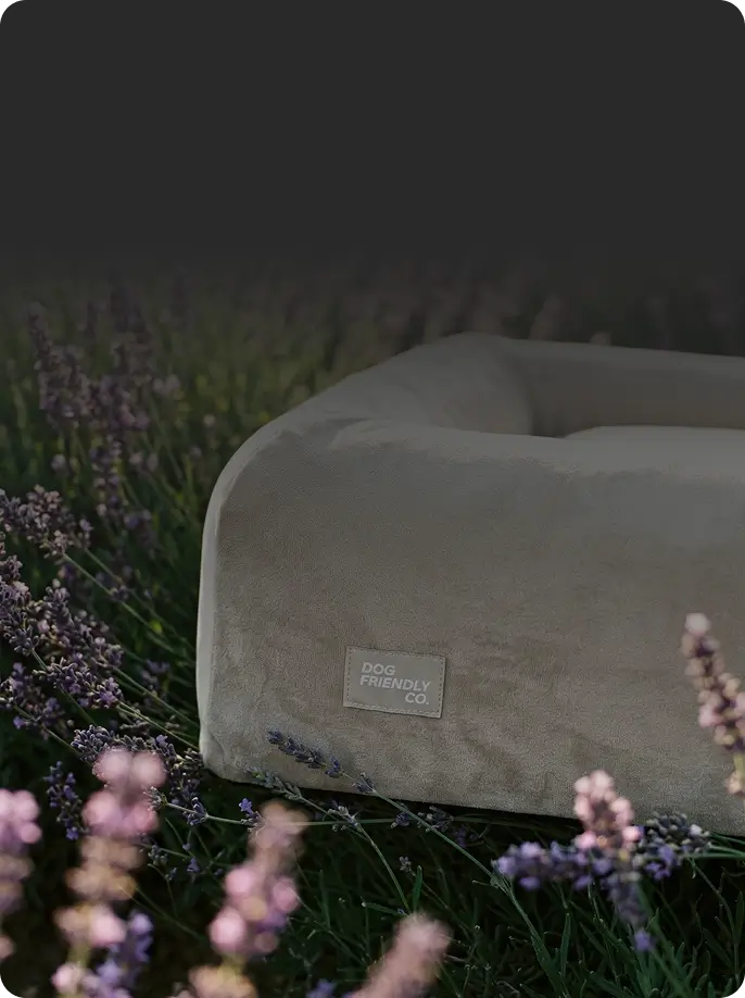 Infused with Calming Lavender Scent